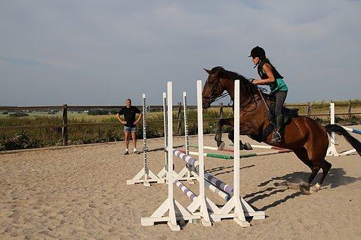 Traver Møffeline billede 2