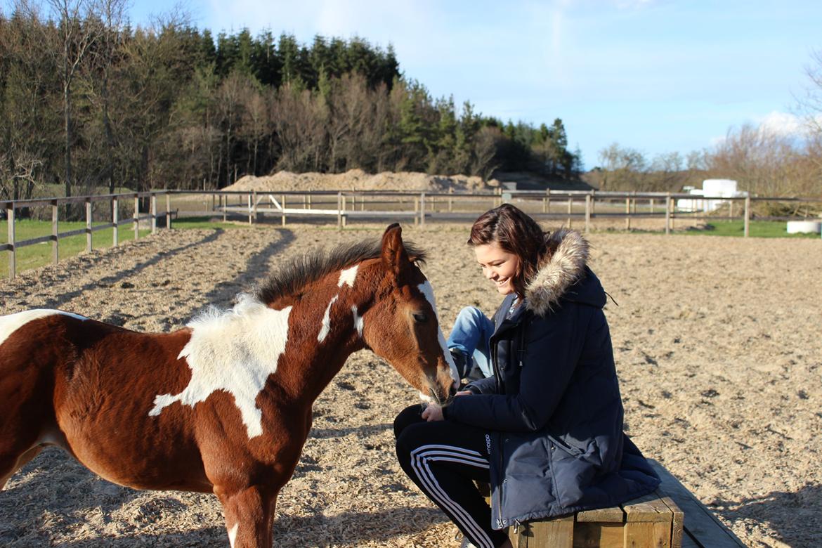 Pinto Kilgast's Bacardi billede 6