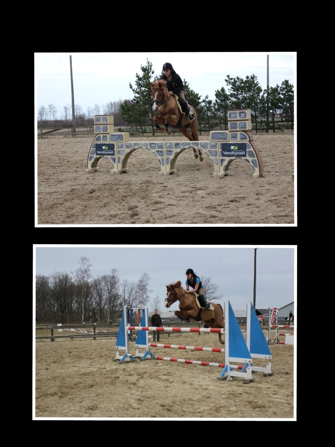 DSP Lejaro Rouge billede 1