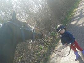 Anglo Araber (AA) Nekita *himmelhest* - min 3 åriget Niece trækker selv Nekita på vejen :) billede 11