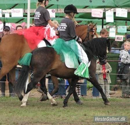 Dartmoor Manze af Vejlebro - Da bassen var i sin bedste form, på bregentved!  billede 7