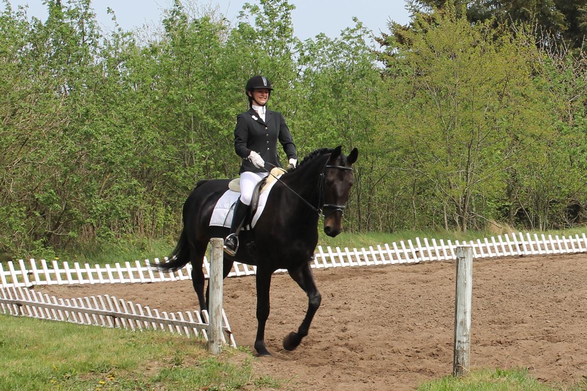 Anden særlig race Krogagers Unnie billede 5