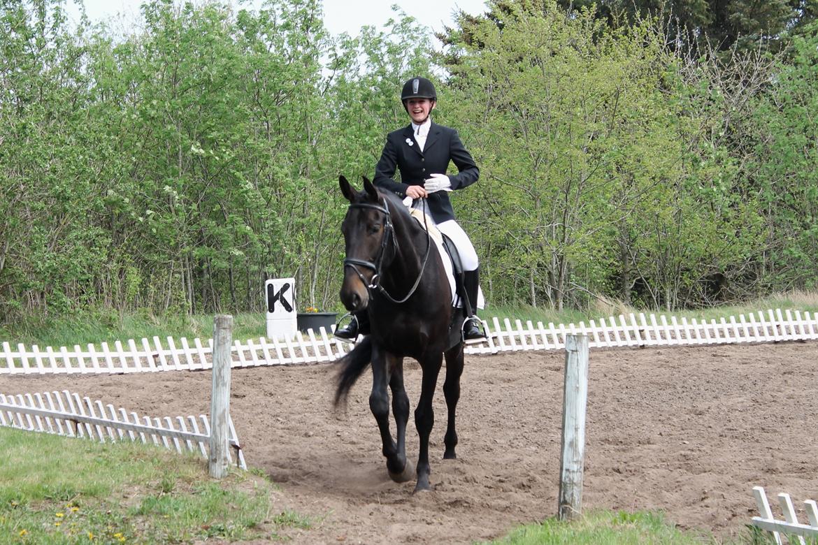 Anden særlig race Krogagers Unnie billede 7