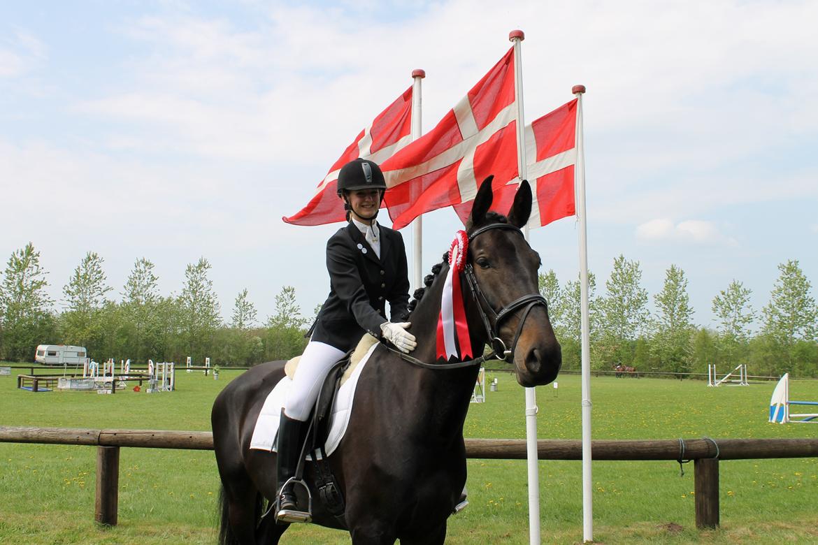 Anden særlig race Krogagers Unnie billede 9