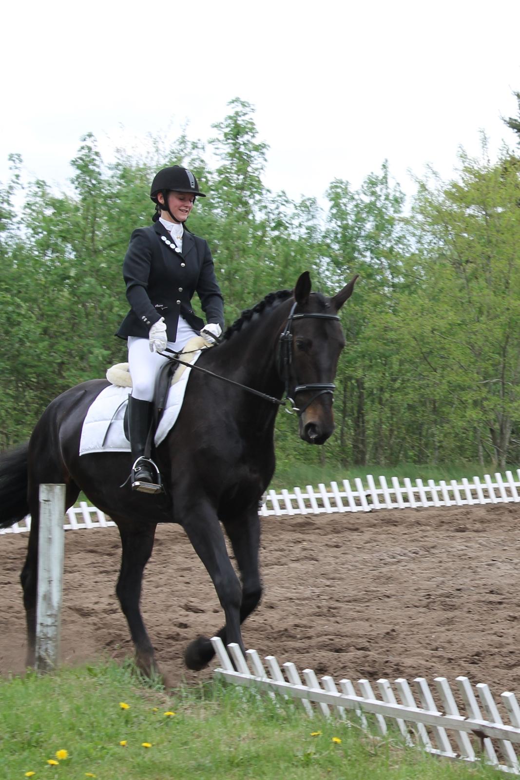 Anden særlig race Krogagers Unnie billede 13