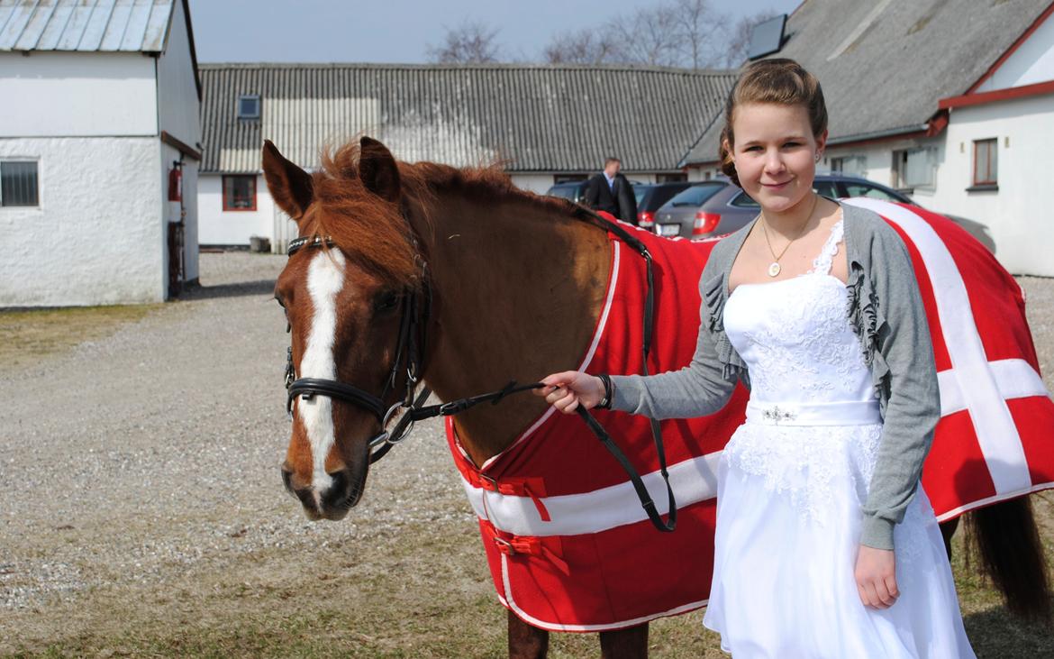 New Forest Athene Hippios - Konfirmation d.14 april 2013. Elsker dig <3
 billede 11