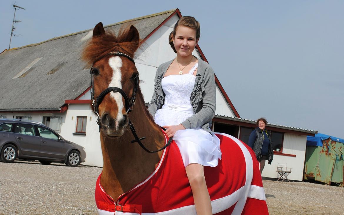 New Forest Athene Hippios - Min smukke skat! Love you, yesterday, today and forever! <3 billede 4