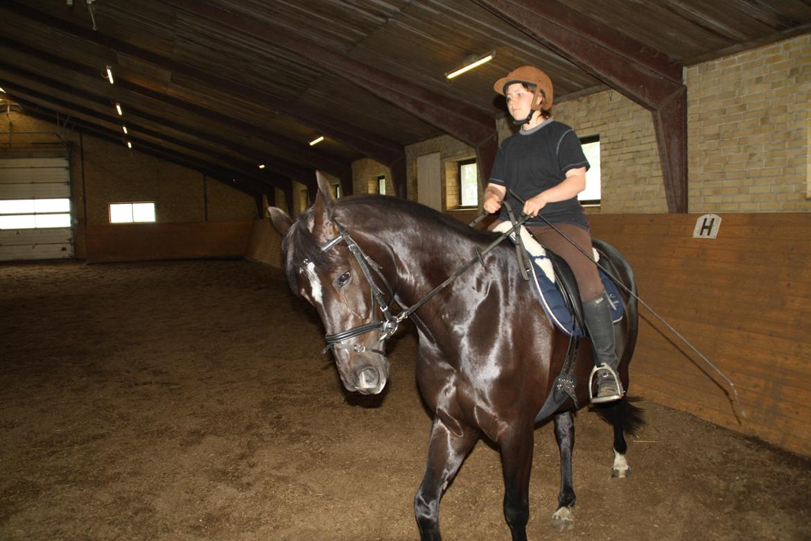 Anden særlig race Josephine billede 11