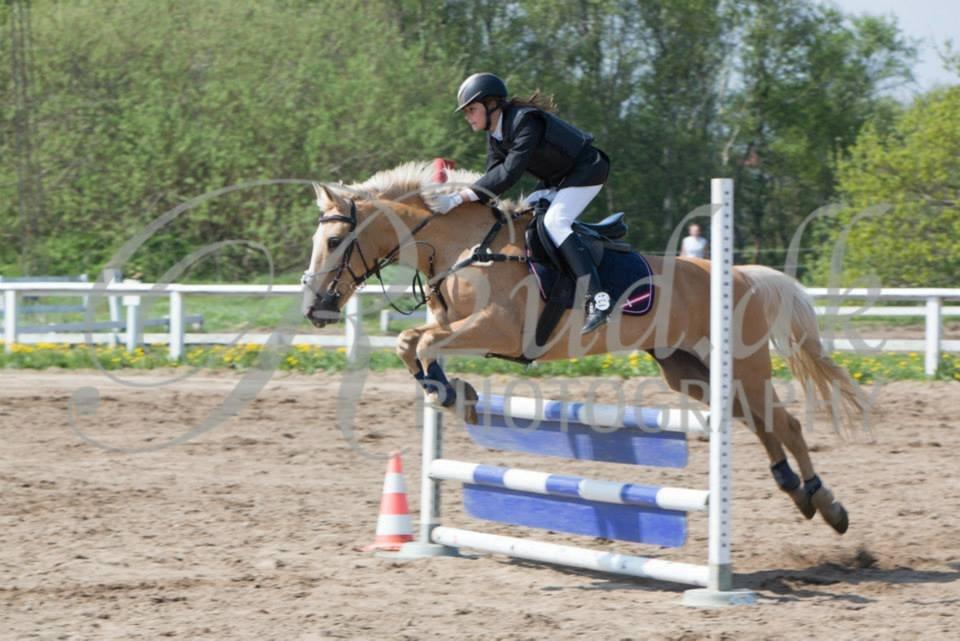 Palomino QUEEN OF EUROPE - Krikkedyret i LC hvor vi var dobbelt 0 trods en bane med MEGET fyld :')
- Maj 2013 billede 6