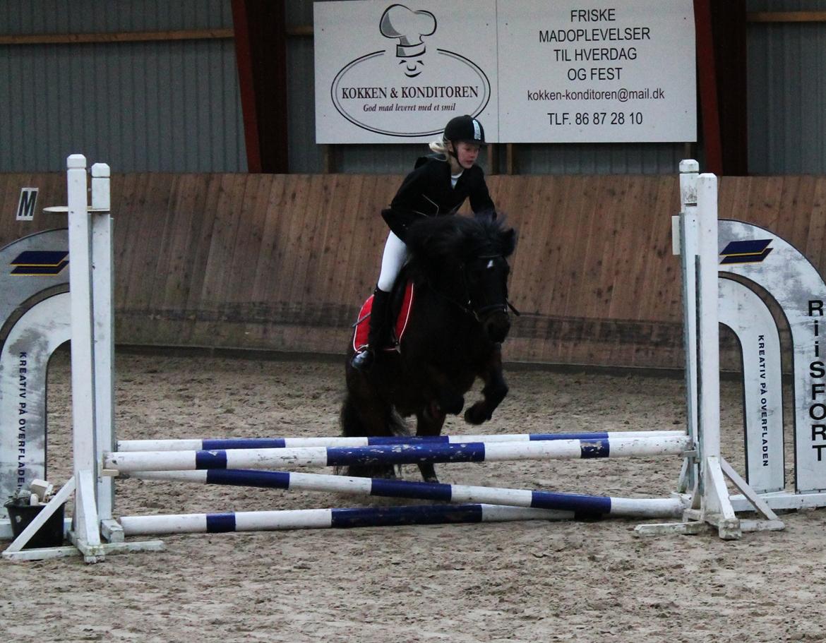Anden særlig race RAMI - Gjern nytårscup 2012. billede 14