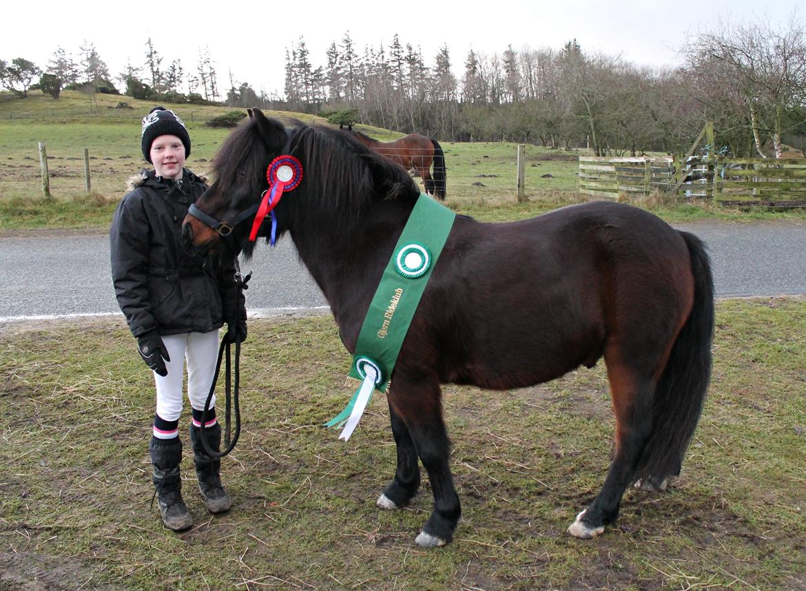 Anden særlig race RAMI - 3. plads til Gjerns Nytårscup 2012! :-) billede 11