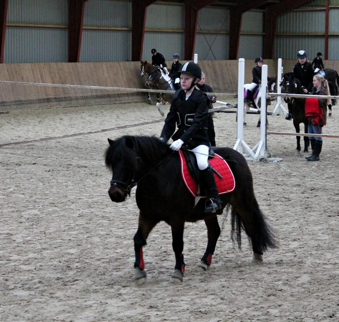 Anden særlig race RAMI - Gjern nytårscup 2012. billede 15
