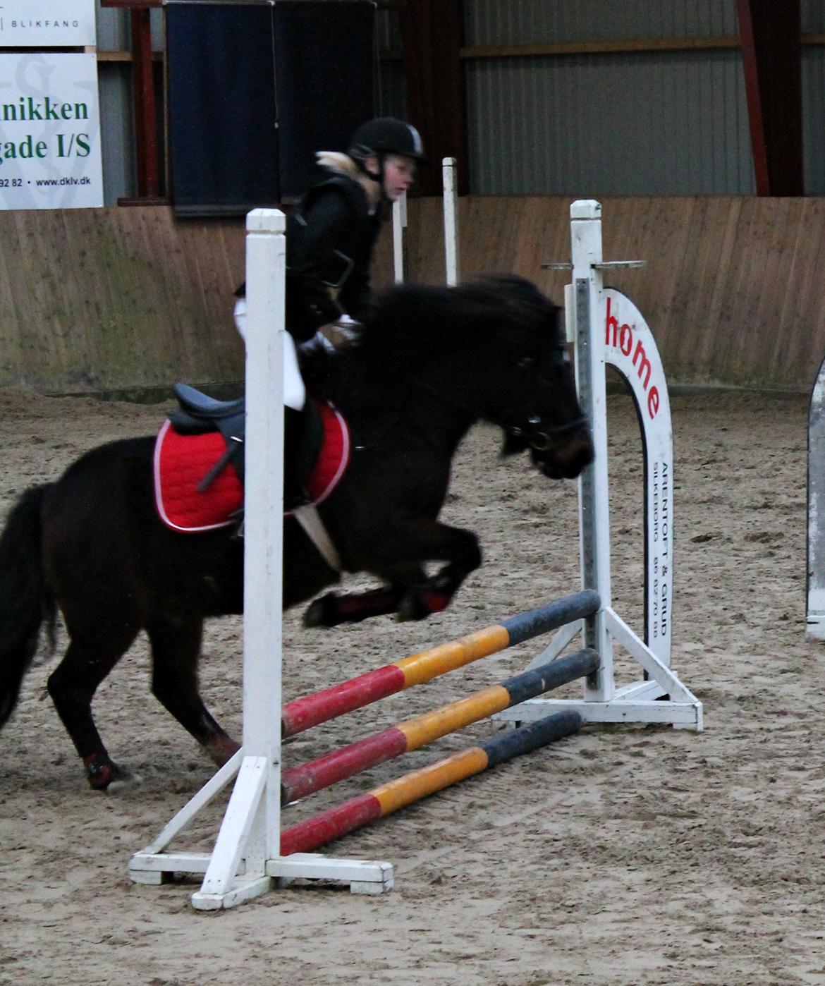 Anden særlig race RAMI - Gjern nytårscup 2012. billede 13