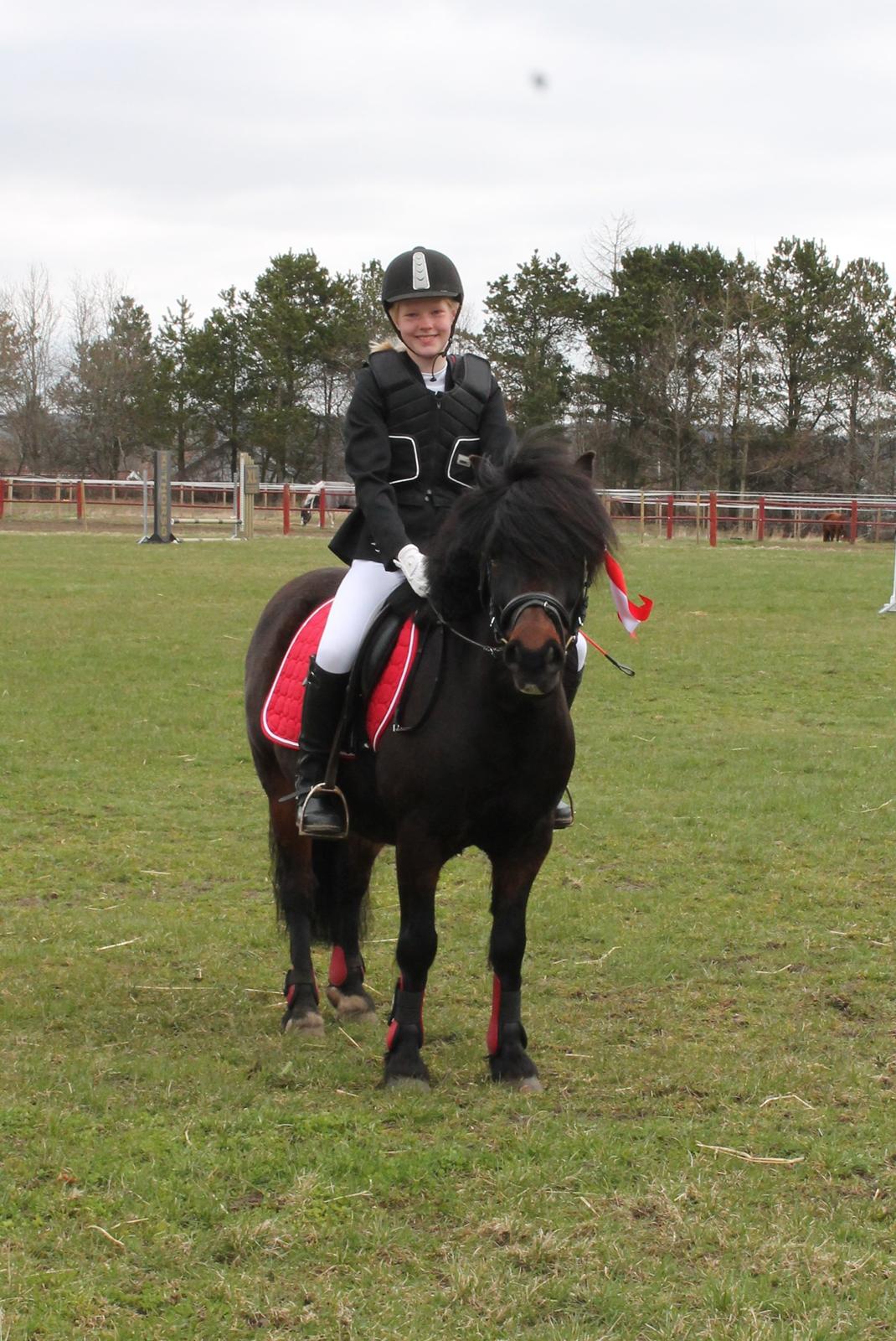 Anden særlig race RAMI - 1. plads i LD i BJR april 2013! :-) billede 8