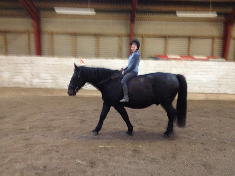 Oldenborg Strauss billede 19