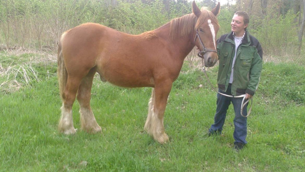 Jyde Estelle billede 1