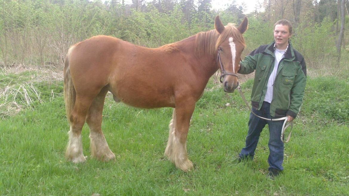 Jyde Estelle billede 2