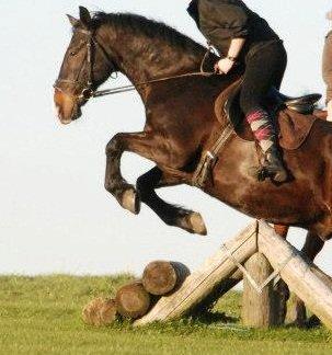 Oldenborg Strauss - Spring tykke XD billede 16