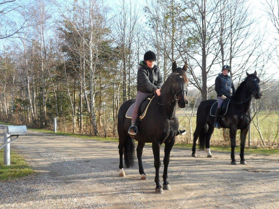 Oldenborg Futti af Aalborgdal billede 2