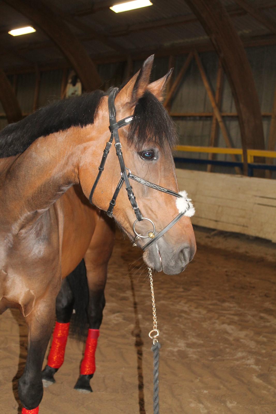 Traver Ragpicker's Dream "Pippi" <3 billede 7