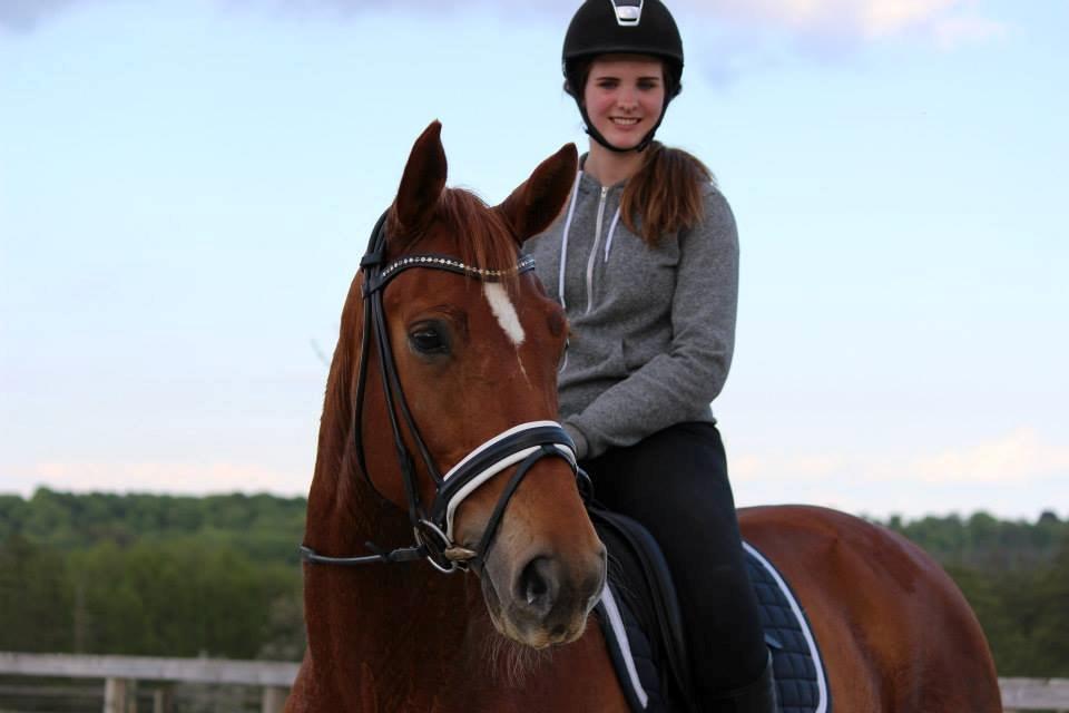 Tysk Oldenburger Rosenwelt billede 9