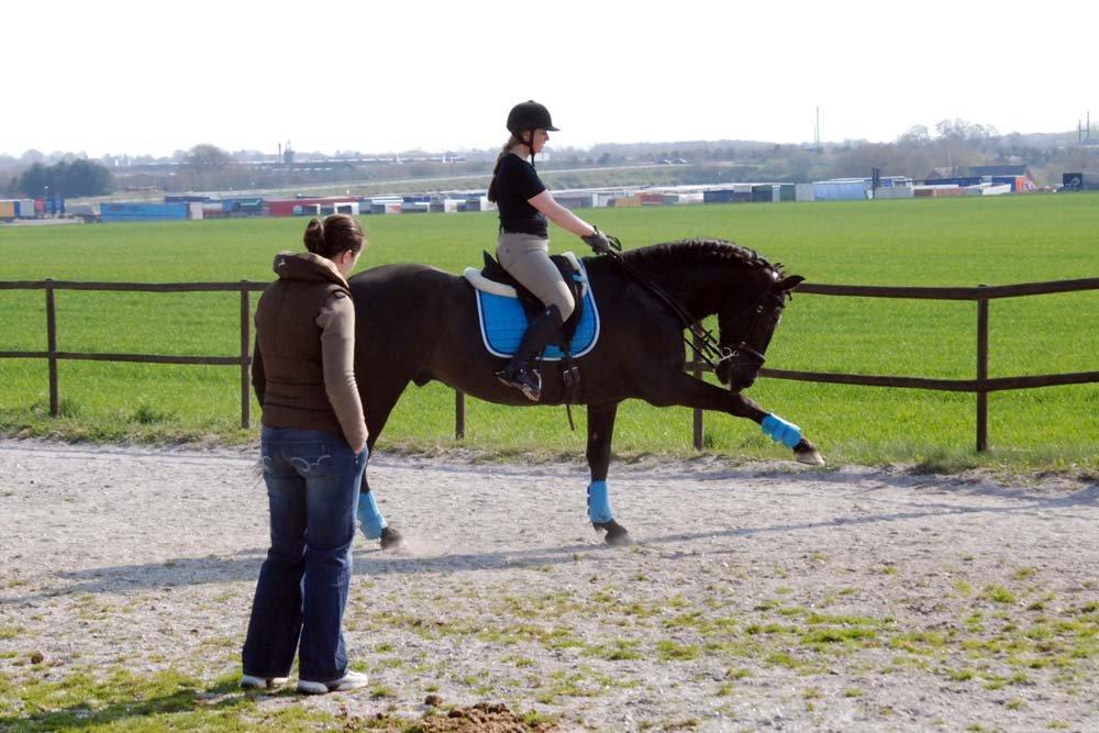 Pura Raza Española Arando - RIP billede 8