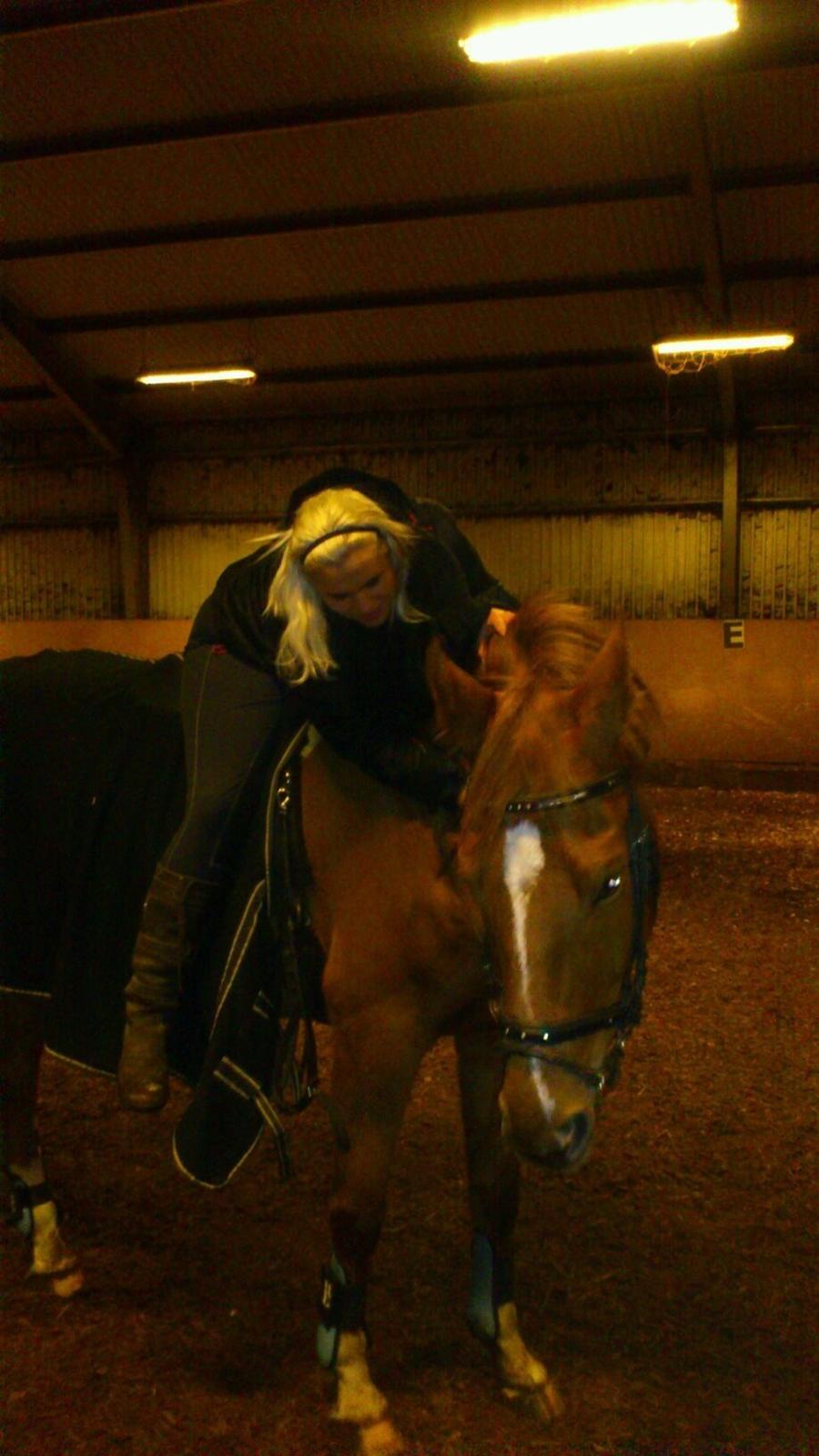 Dansk Varmblod Mr. Frodo himmel hest<3  billede 9