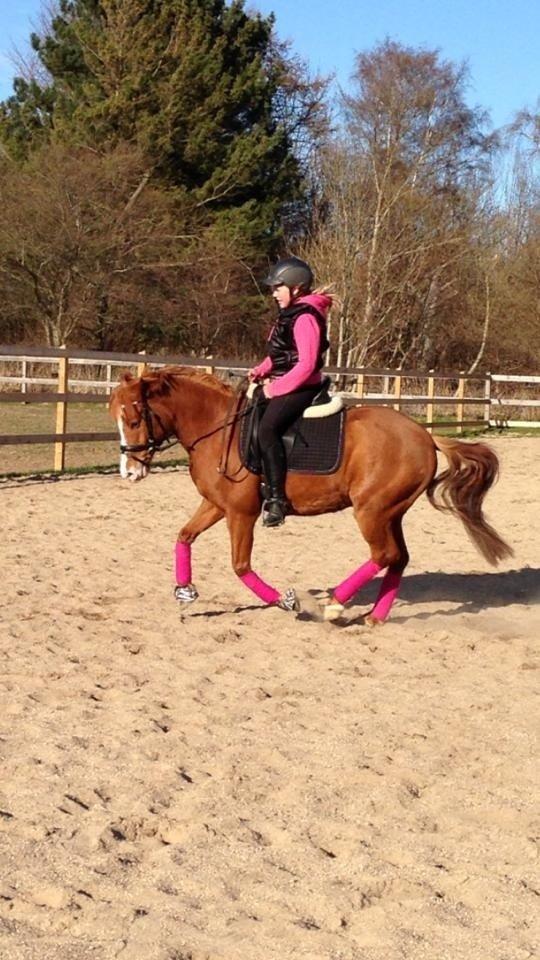 Anden særlig race Tarzan billede 8