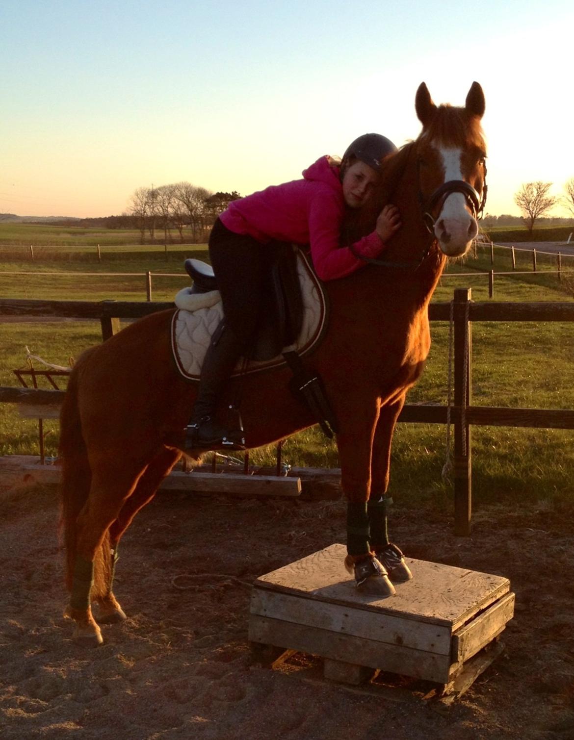 Anden særlig race Tarzan billede 9