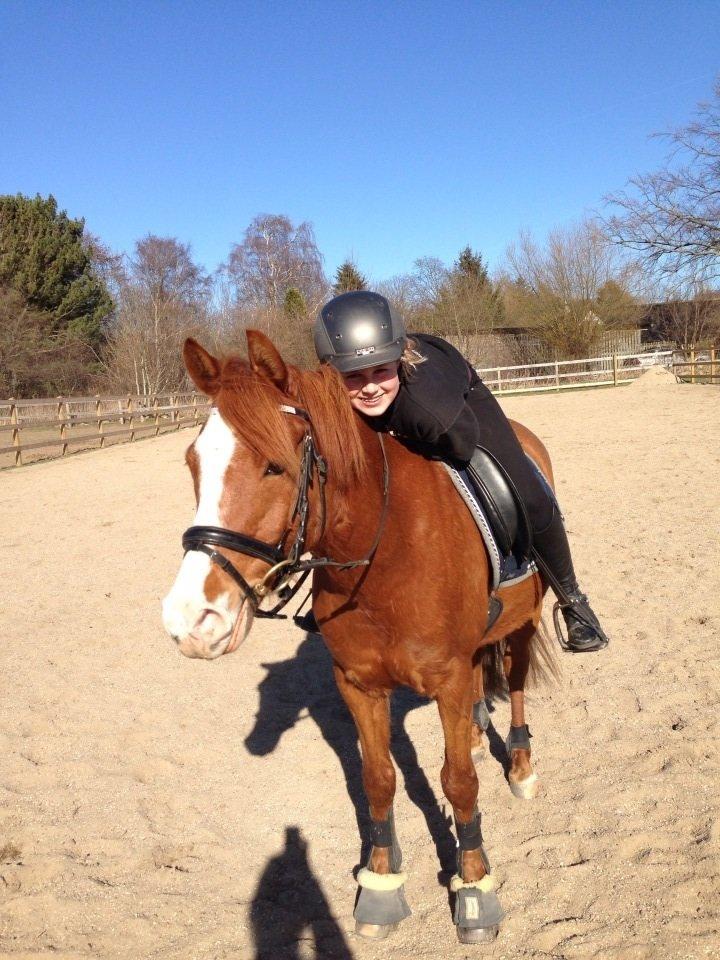 Anden særlig race Tarzan billede 10