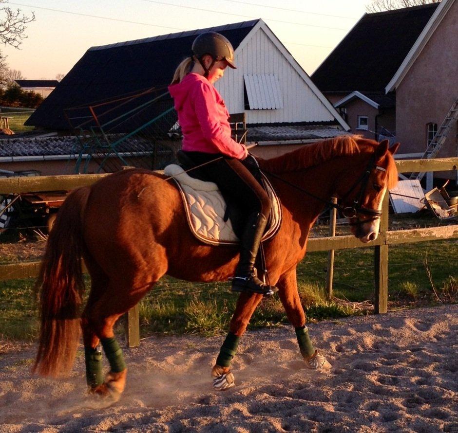 Anden særlig race Tarzan billede 11