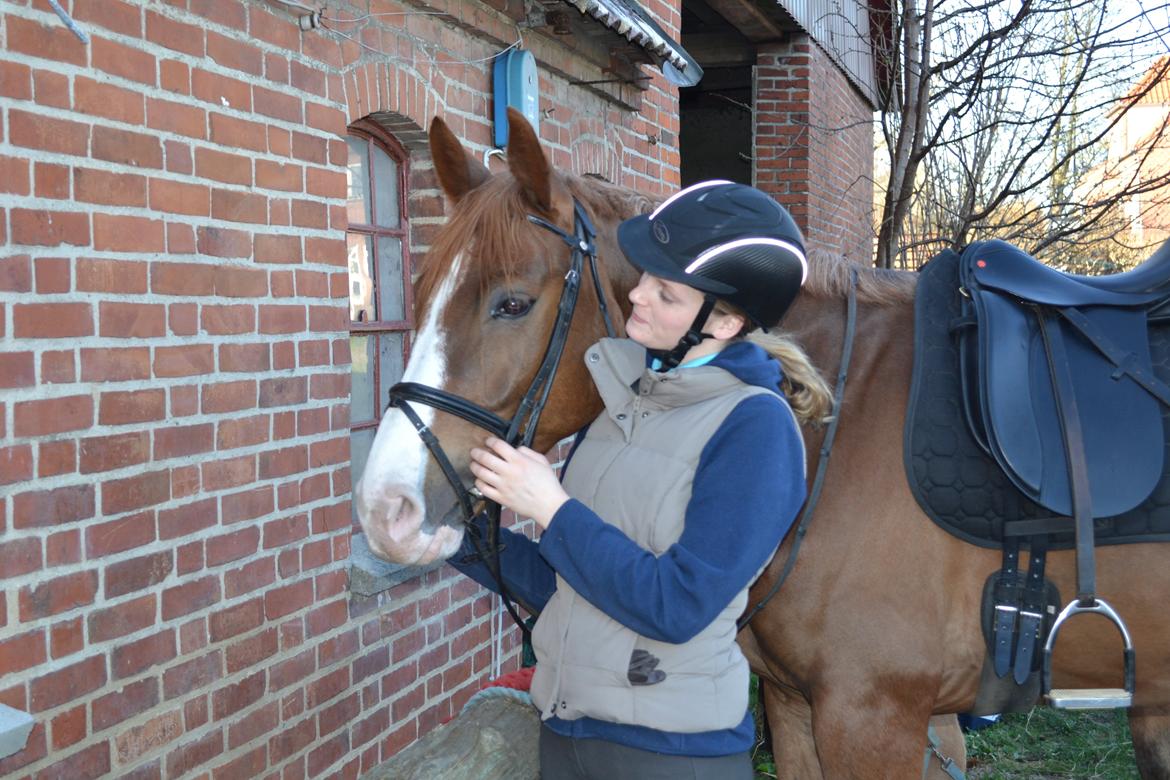 Hannoveraner Ripasso billede 2