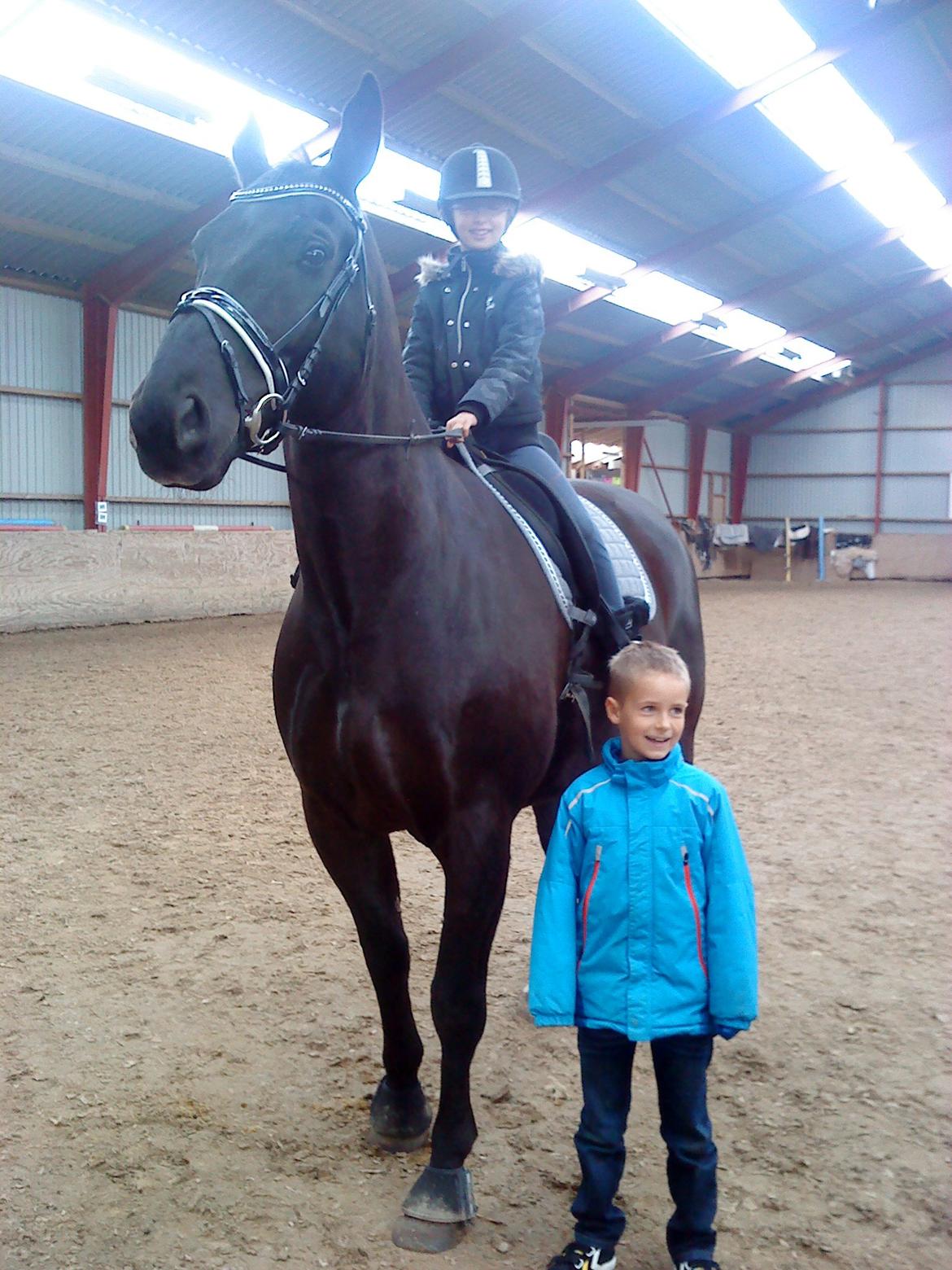 Oldenborg Mosevangs Dolomit - Niecen højt til hest billede 2