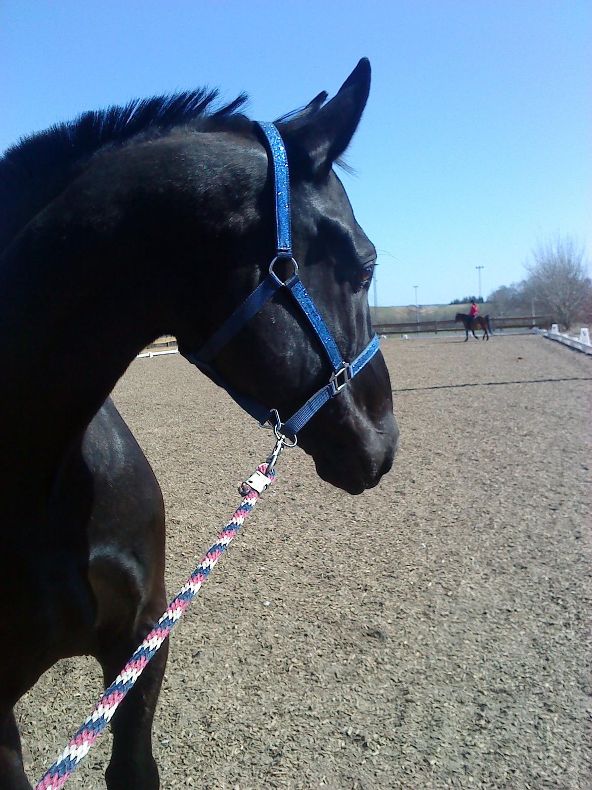 Oldenborg Mosevangs Dolomit billede 4