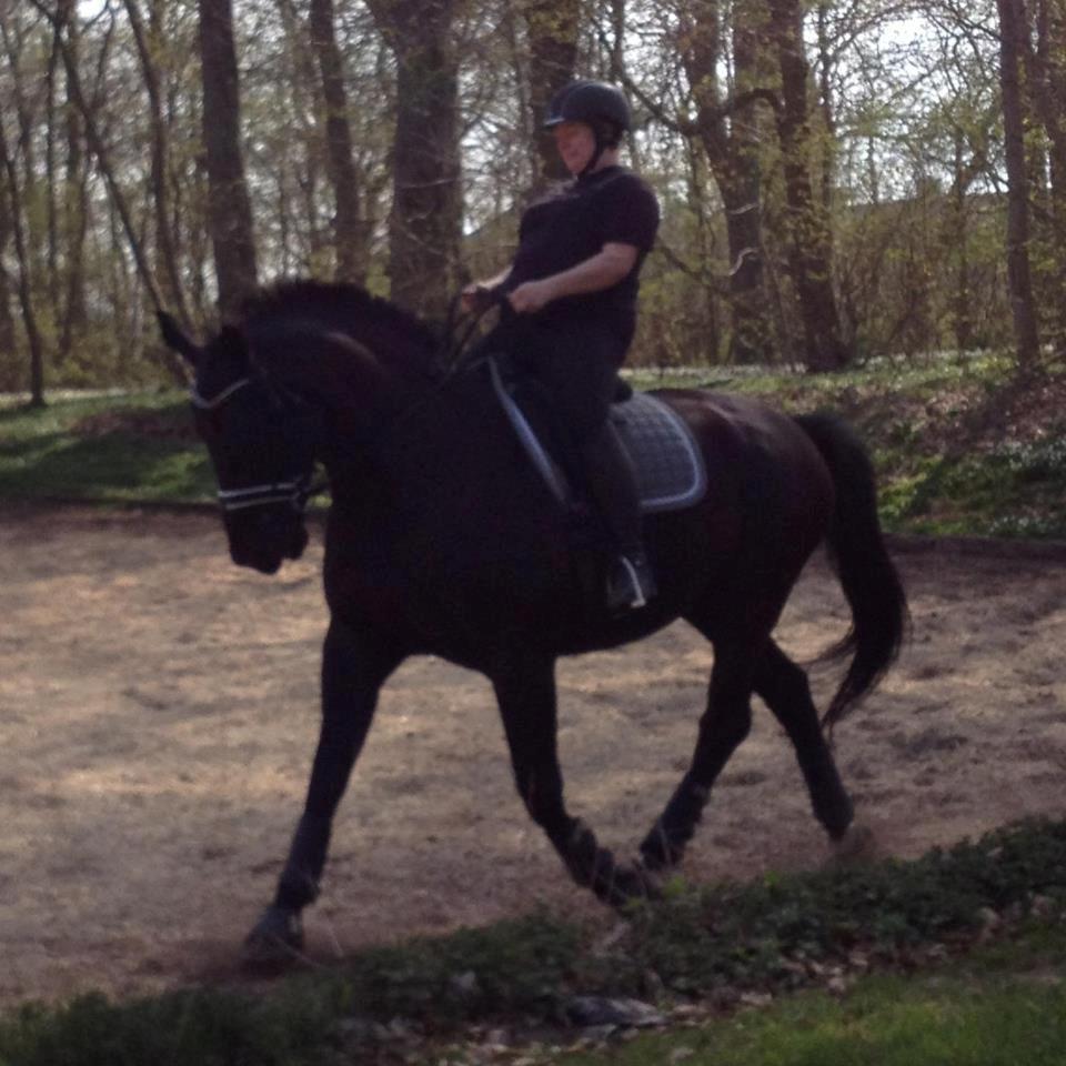 Oldenborg Mosevangs Dolomit billede 9