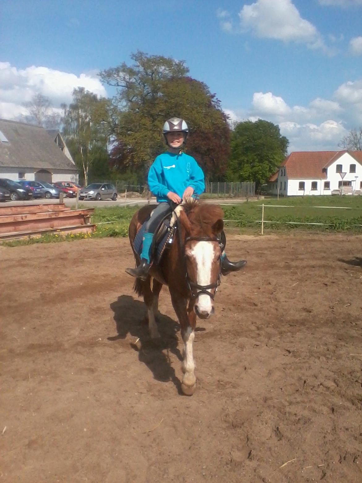 Anden særlig race Topsy - topsy og melissa billede 5