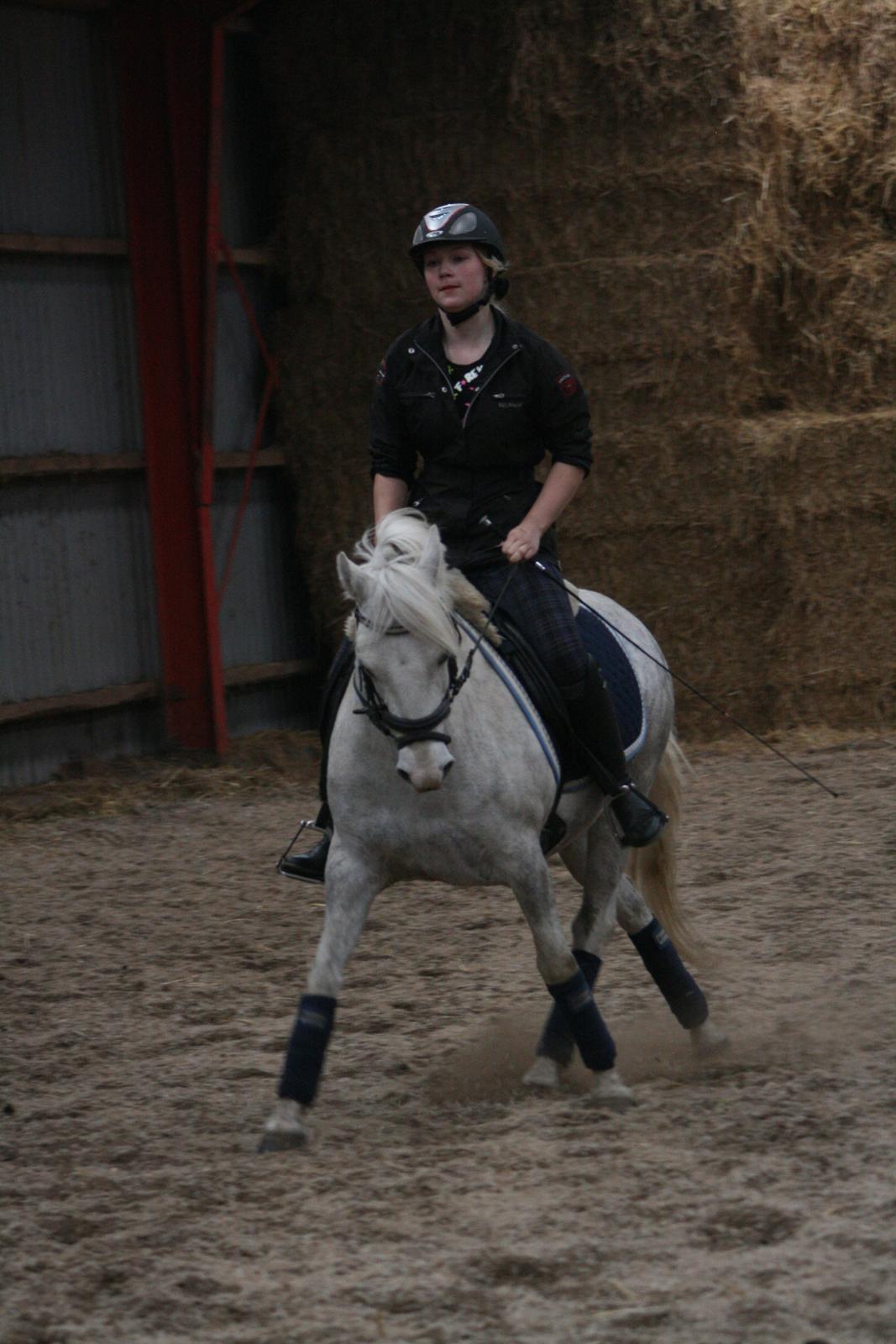 Anden særlig race scooby(Solgt og savnet<3) - Lækker i en schenkelvigning(staves)
Billed: Ditte Hansen<3 billede 20