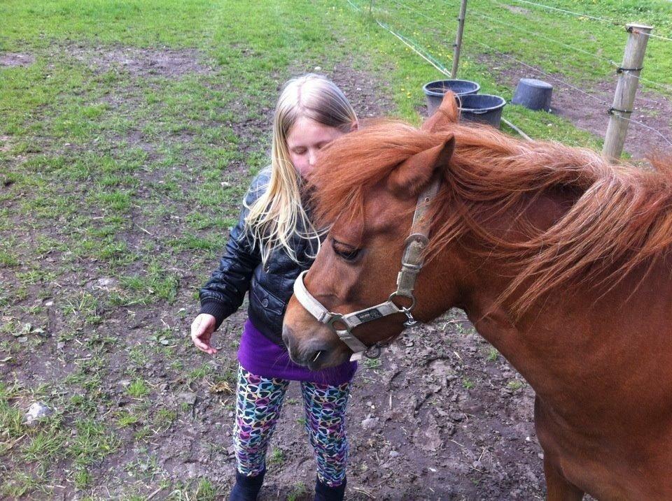 Anden særlig race Rose  billede 1
