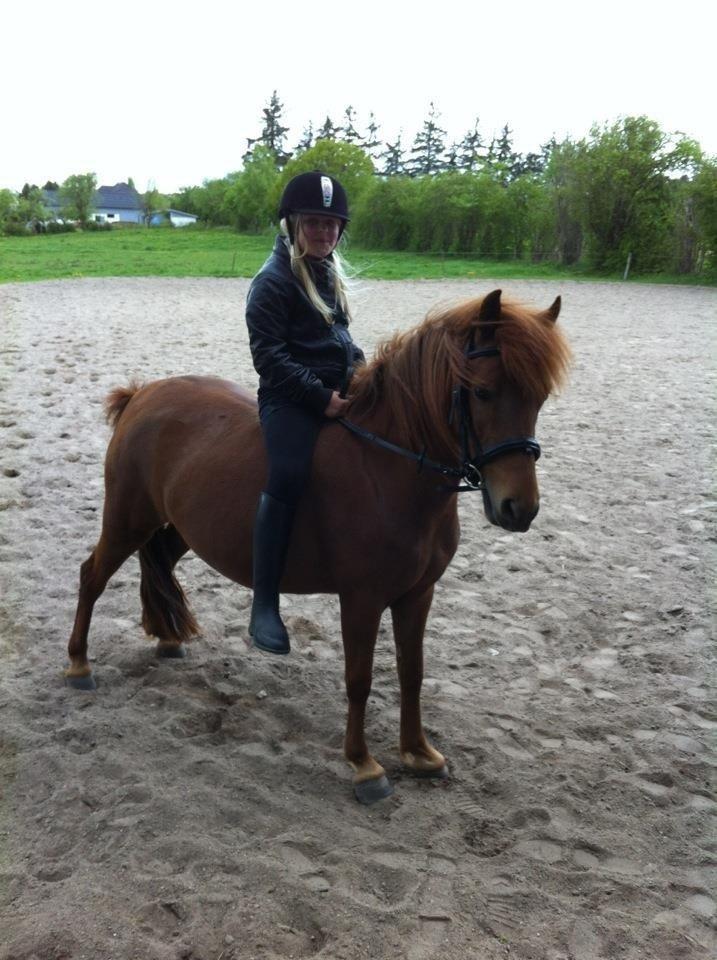 Anden særlig race Rose  billede 4