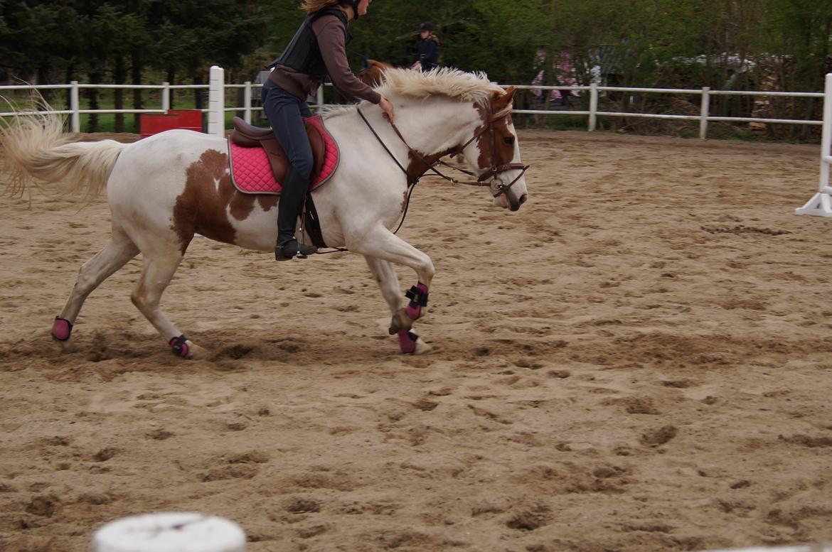 Anden særlig race Åbo 's sweet <3 billede 11
