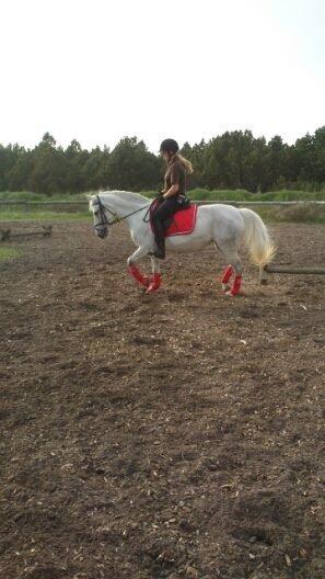 Anden særlig race Ronja billede 13