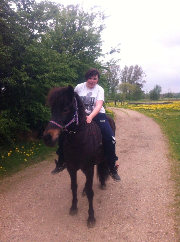 Islænder Björk Fra Hötbjerg - 20. Maj 2013. dejlig lille tur jeg fik på ryggen <3 billede 8