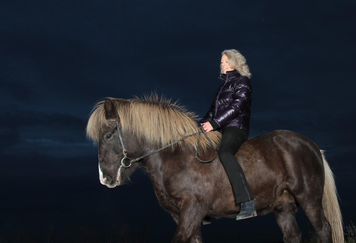 Islænder Silfri fra Tjerrild billede 6