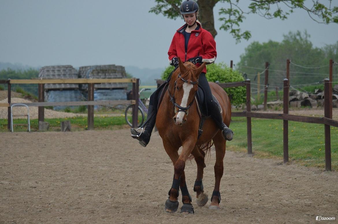 Frederiksborg Alli - Showing of skills :3 billede 10
