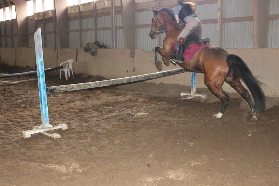 Traver Tinka Meldgård - Hun springer så lækkert <3 billede 2