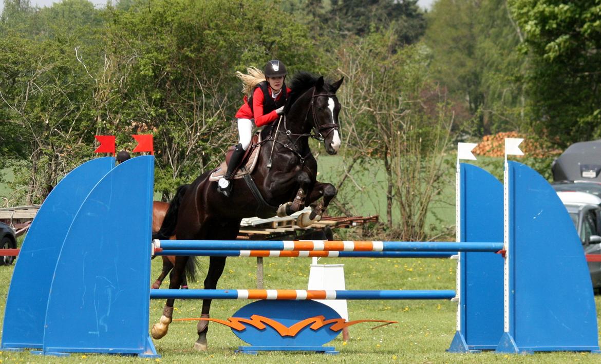 Hannoveraner Amando 29 - LB2** Kolding rideklub 0 fejl 5. plads billede 10