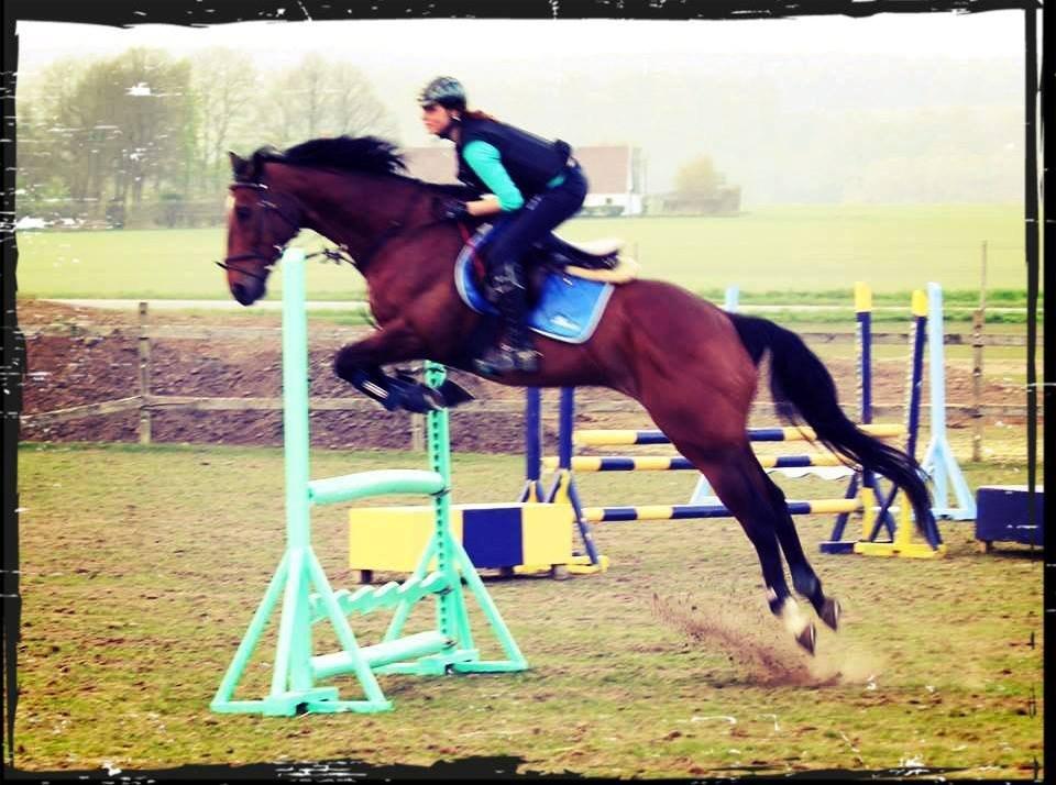 Fuldblod (XX) R.I.P SOLGT Bauffant<33 XX billede 14