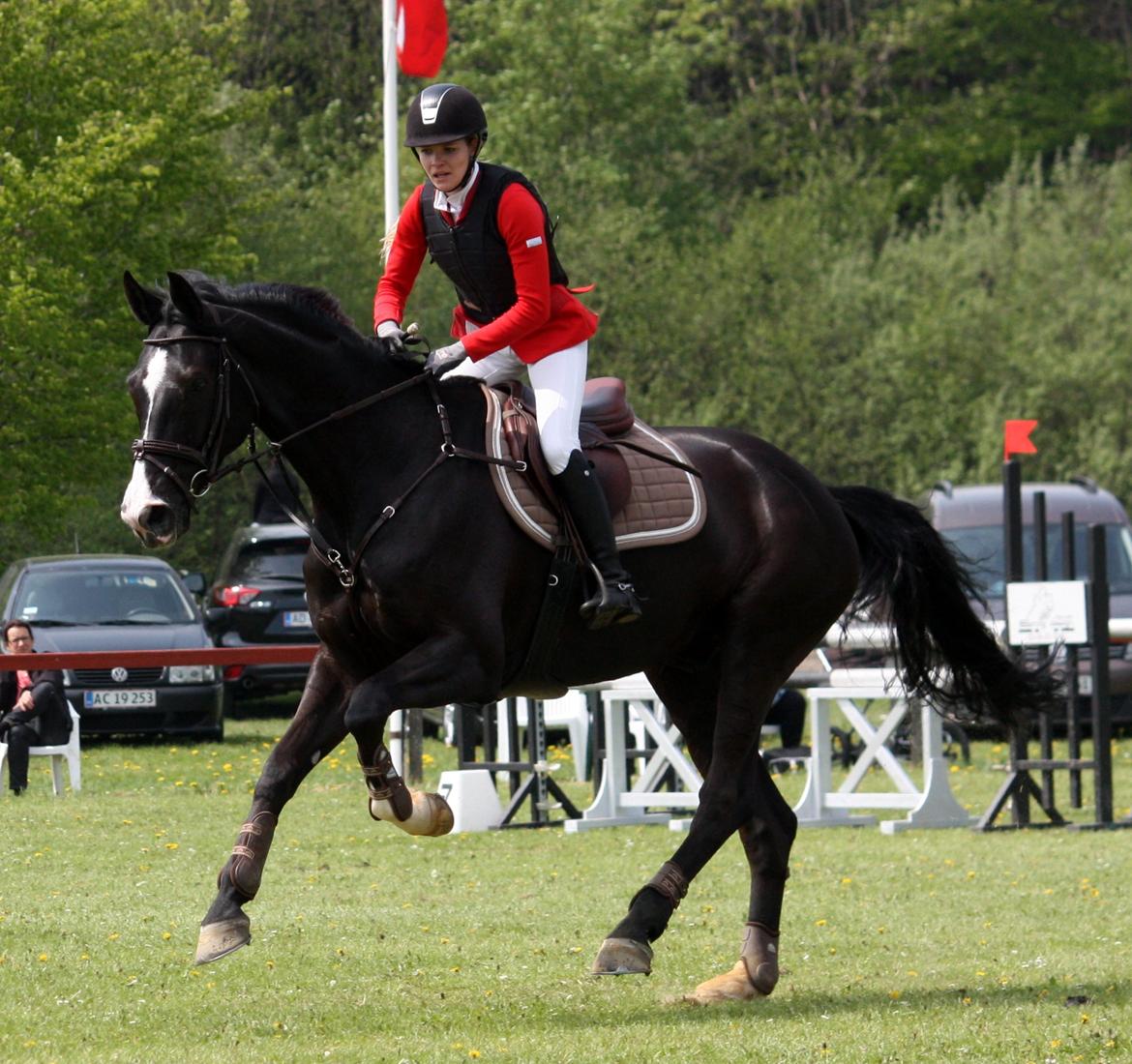 Hannoveraner Amando 29 - LB2** Kolding rideklub 0 fejl 5. plads billede 12