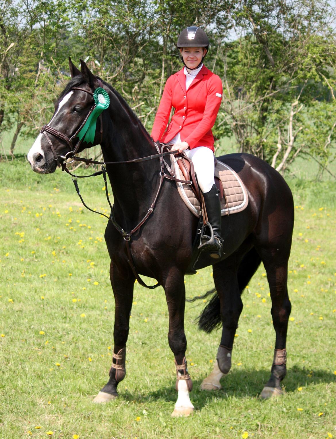 Hannoveraner Amando 29 - LB2** Kolding rideklub 0 fejl 5. plads billede 13