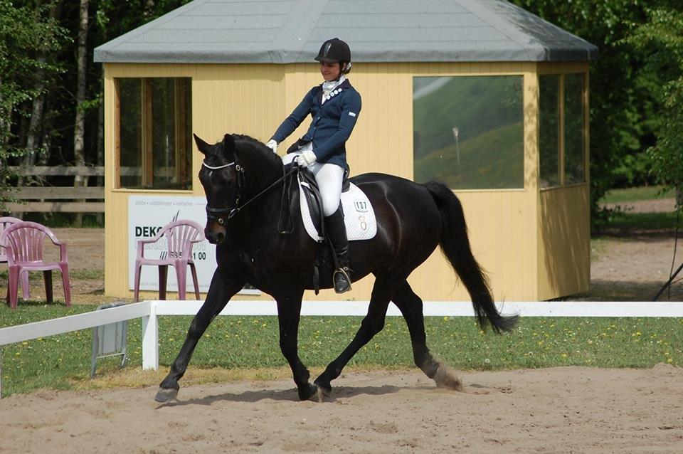 Oldenborg Ursandi af Hvarre billede 1